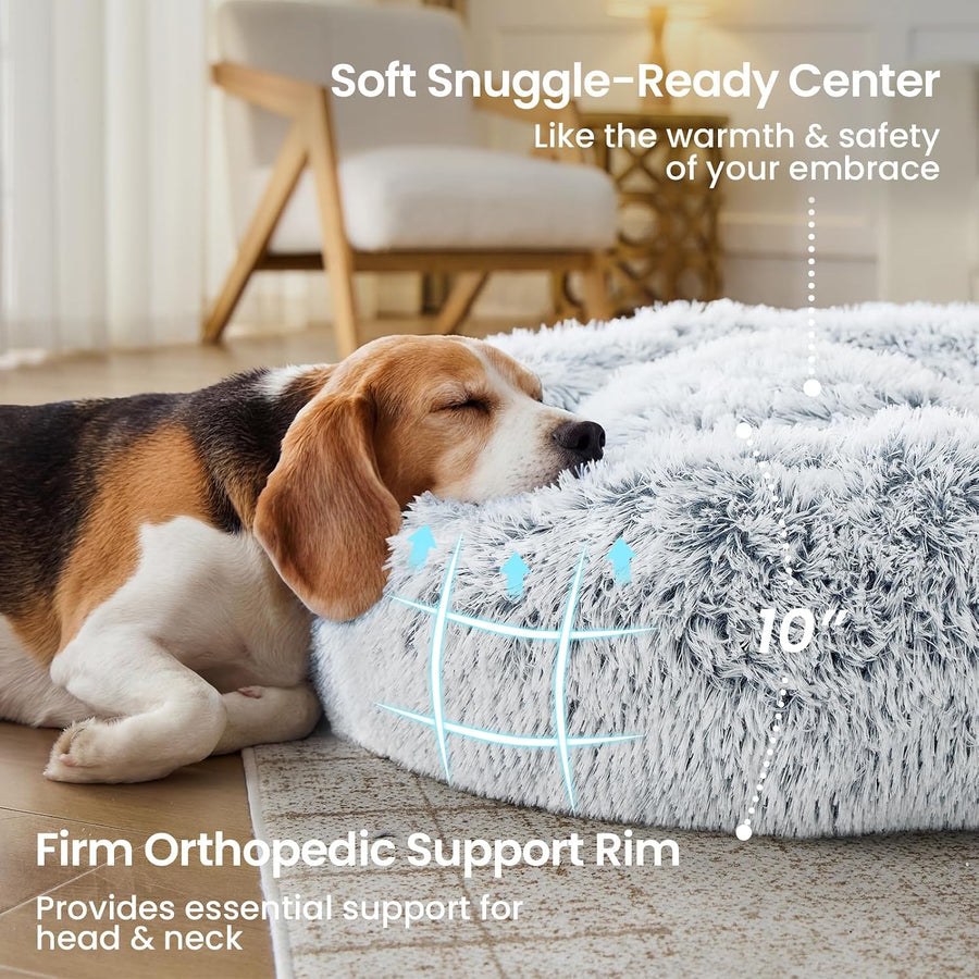 Maximutt Premium Orthopedic Dog Bed