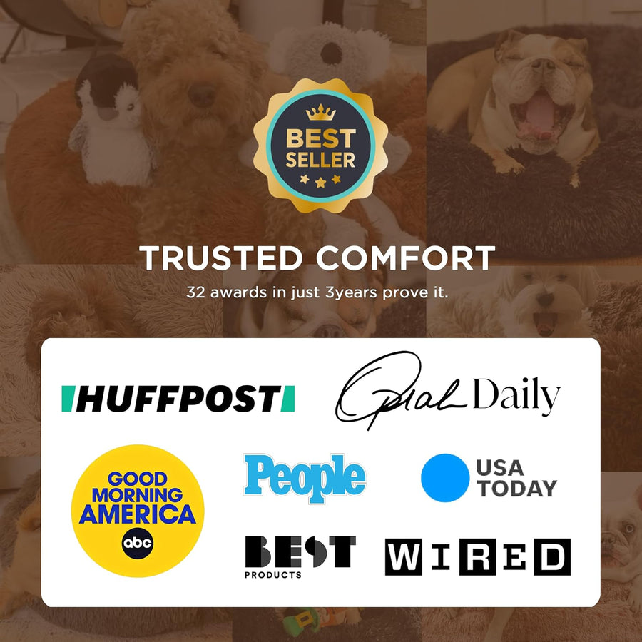 Maximutt Premium Orthopedic Dog Bed