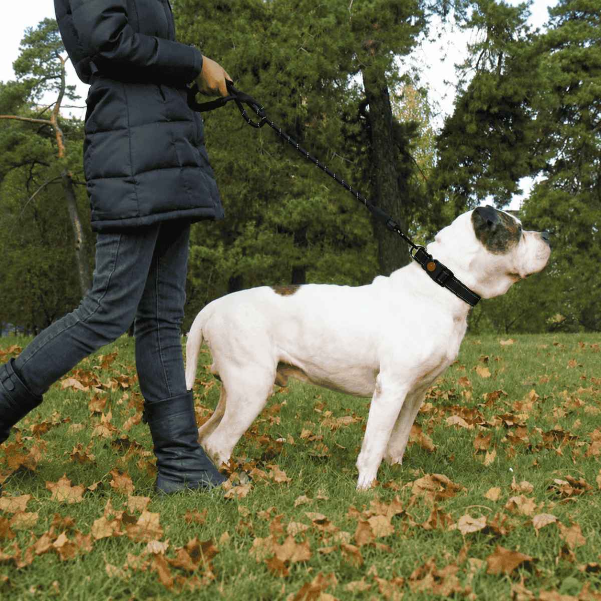 Rope Dog Leash