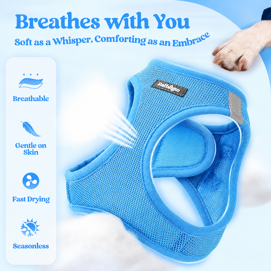 Minifit Small Step-in Dog Harness