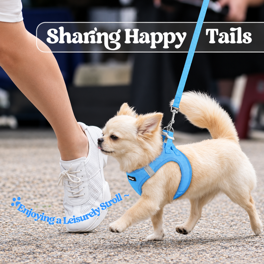 Minifit Small Step-in Dog Harness