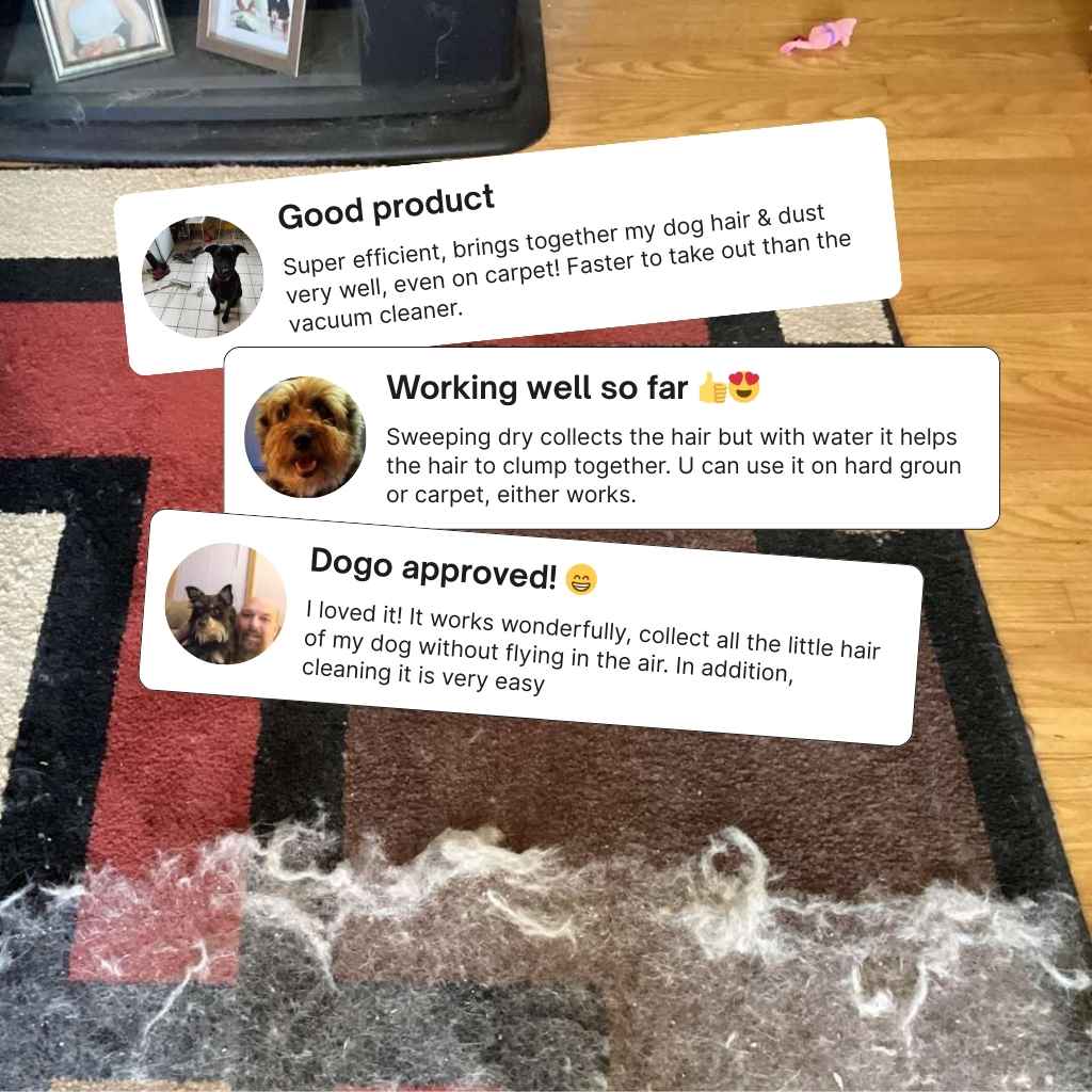 Maximutt Broom Free Gifts