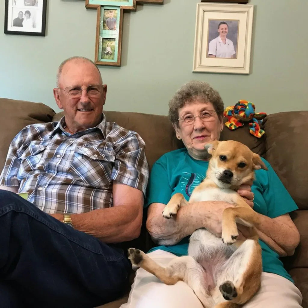 Sarah and Tom at home with their rescue dog Max