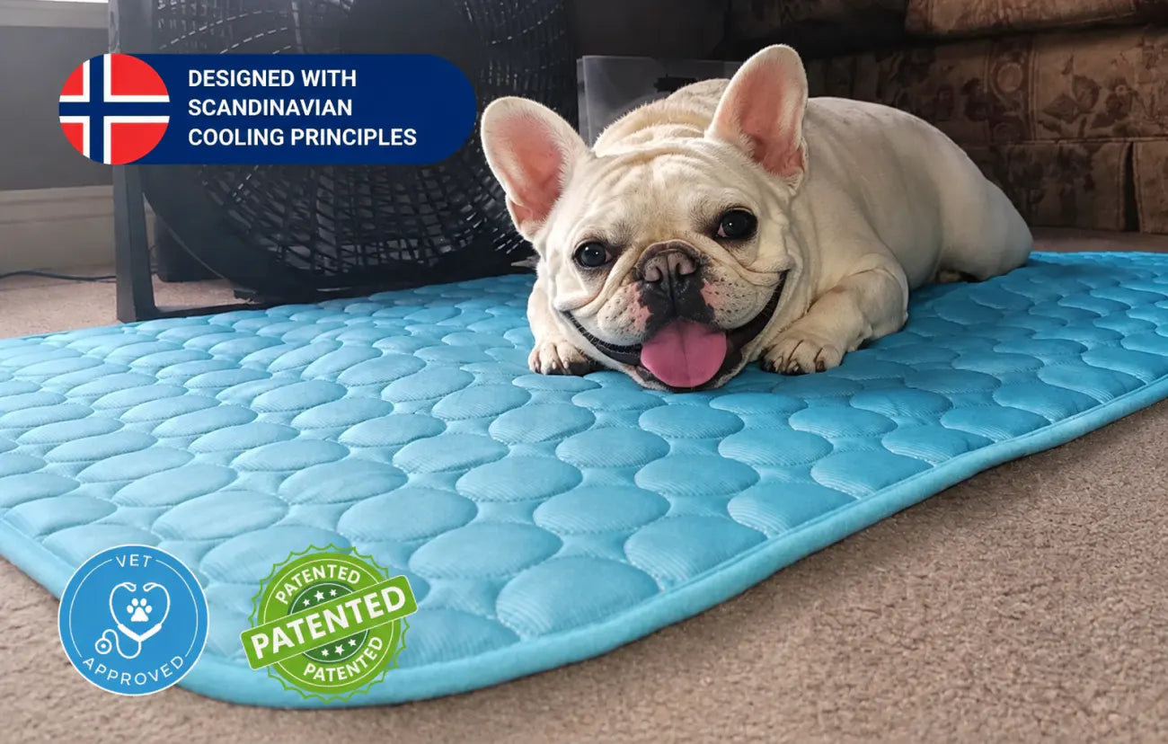 Dog stretched out asleep on the Maximutt Ice Silk cooling mat