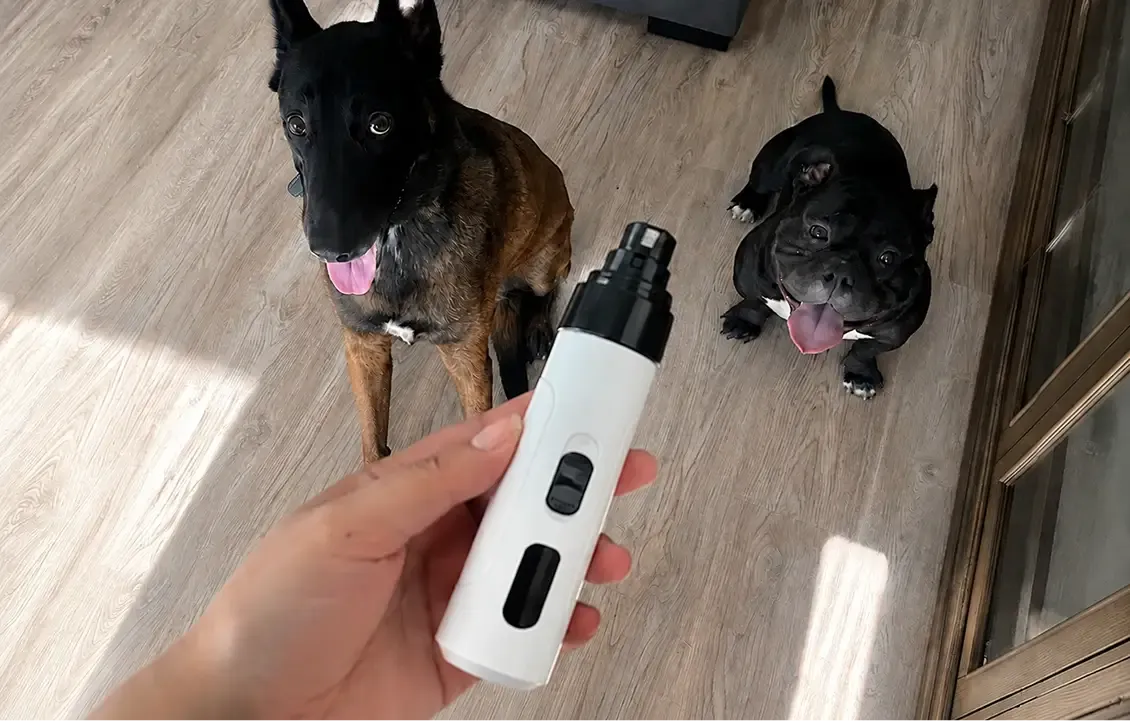 Two happy dogs waiting for a stress-free nail trim with the Maxpro grinder