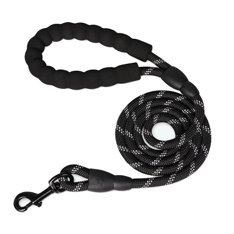 Regular Leash