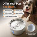 The Doggy Fountain™