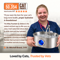 The Cat Fountain™