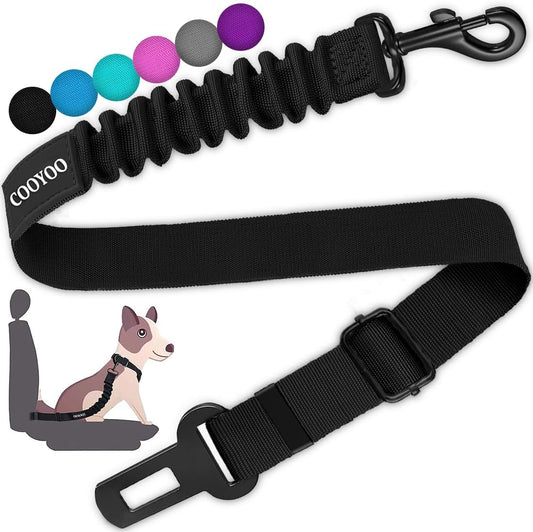 Dog Seat Belt