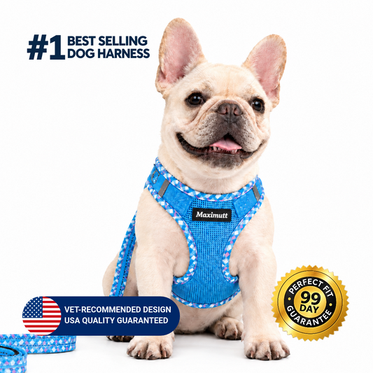 Step-in Dog Harness