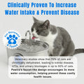 The Cat Fountain™