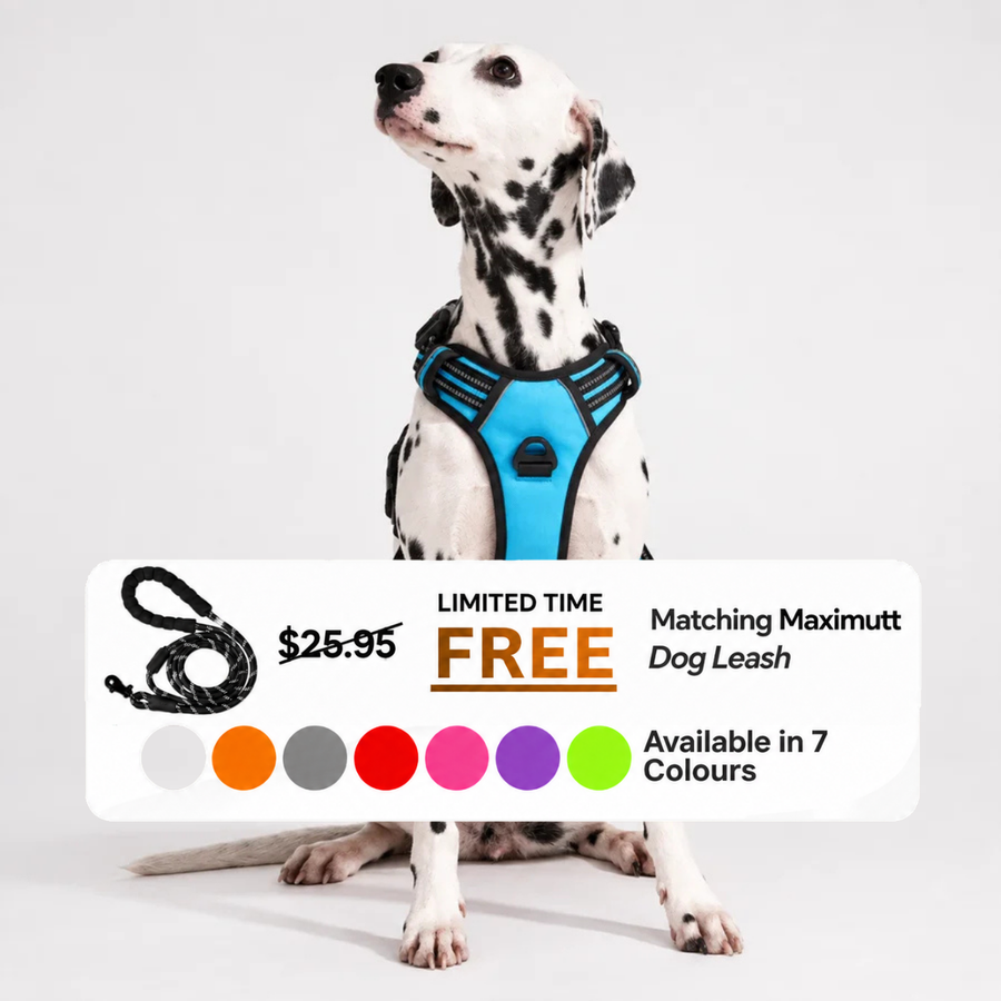 Uplift Pro Adjustable Dog Harness with Neck Buckle