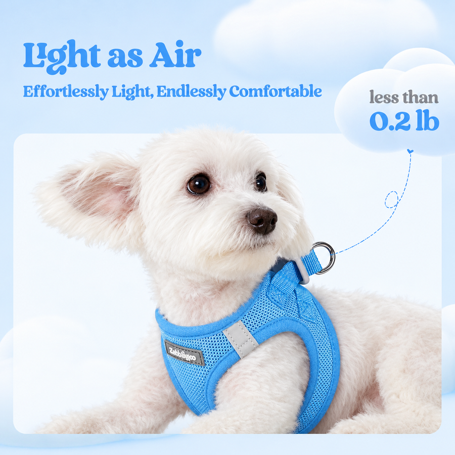 Minifit Small Step-in Dog Harness
