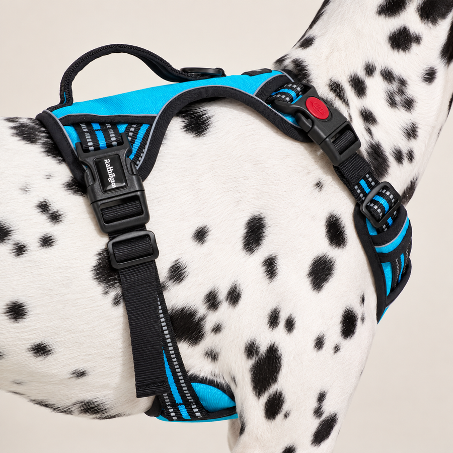Uplift Pro Adjustable Dog Harness with Neck Buckle