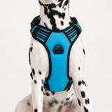 Uplift Pro Adjustable Dog Harness with Neck Buckle