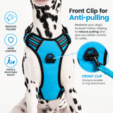 No-Pull Dog Harness with Neck Buckle
