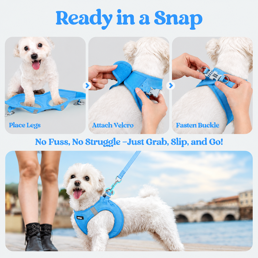 Minifit Small Step-in Dog Harness