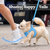 Minifit Small Step-in Dog Harness