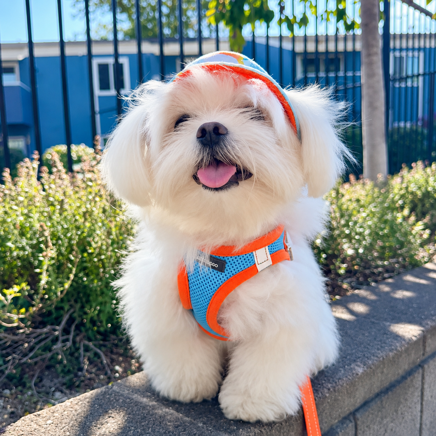 Minifit Small Step-in Dog Harness