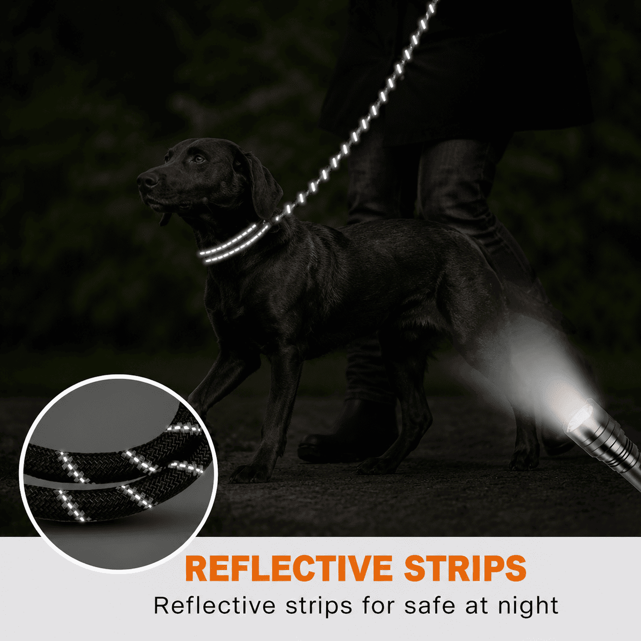 Rope Dog Leash