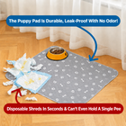 Puppy Training Pads — 2