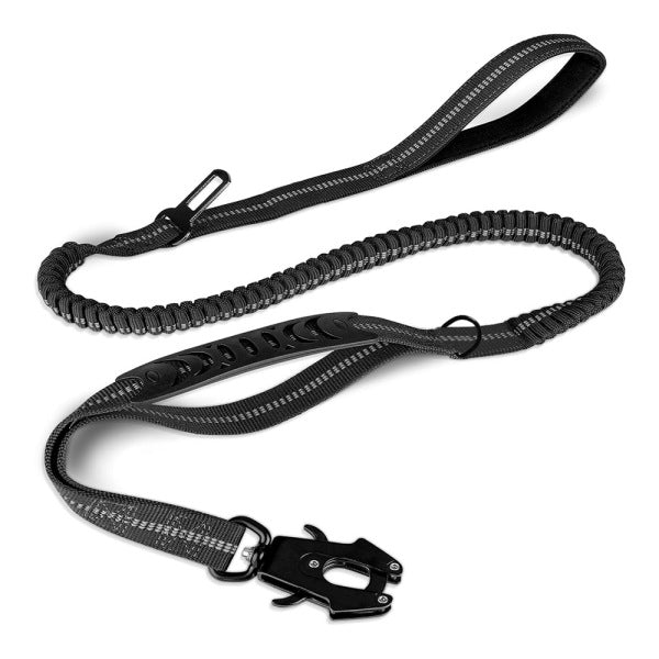 Bungee Dog Leash