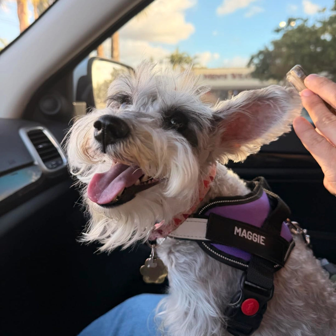 Easy Yoke No-Pull Dog Harness