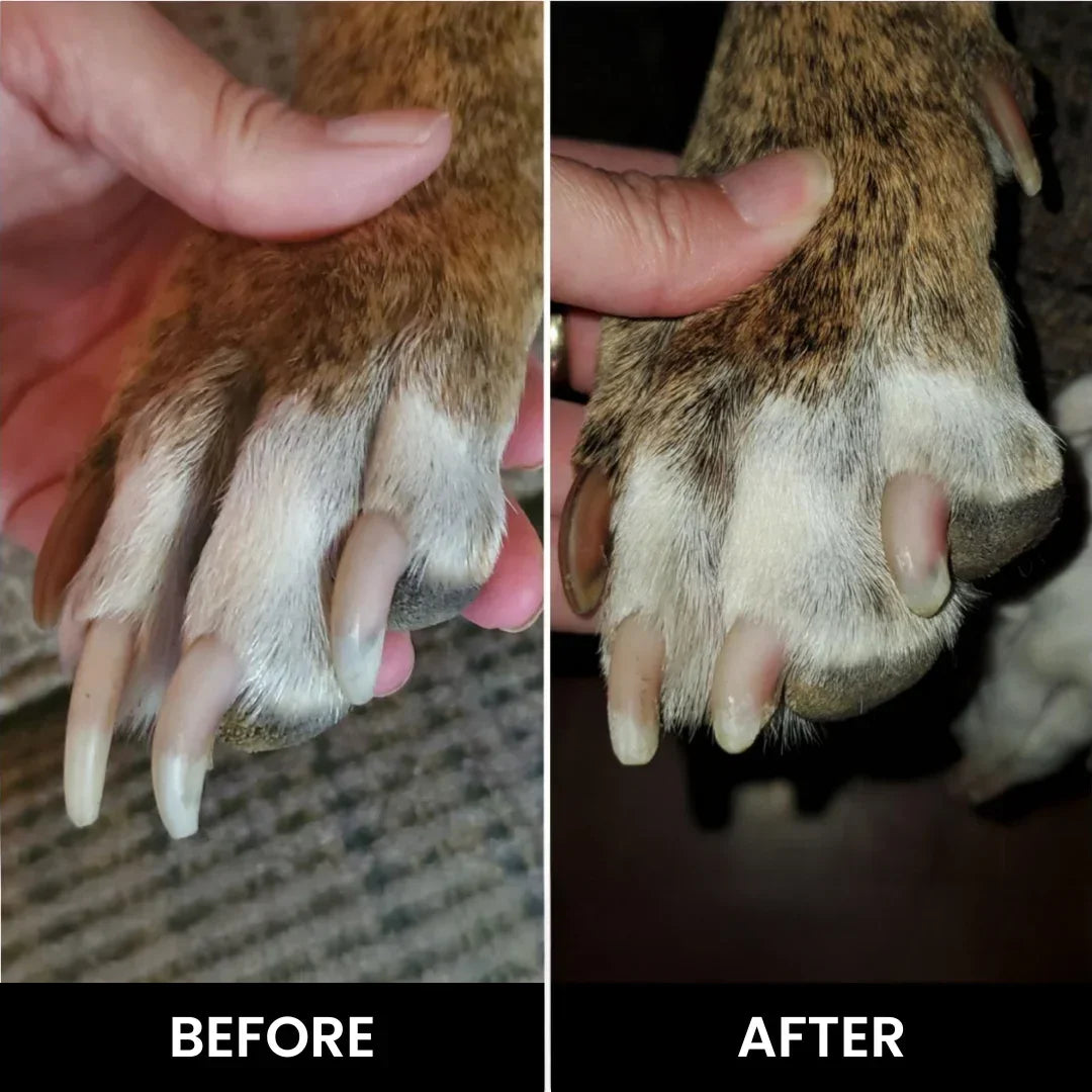 ZenPaw Silent Grinder