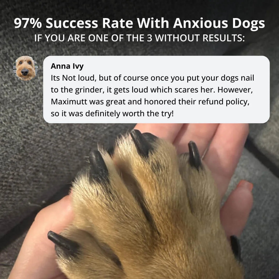 ZenPaw Silent Grinder