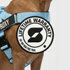 Personalised Dog Harness