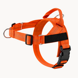 Personalised Dog Harness