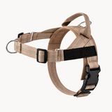 Personalised Dog Harness