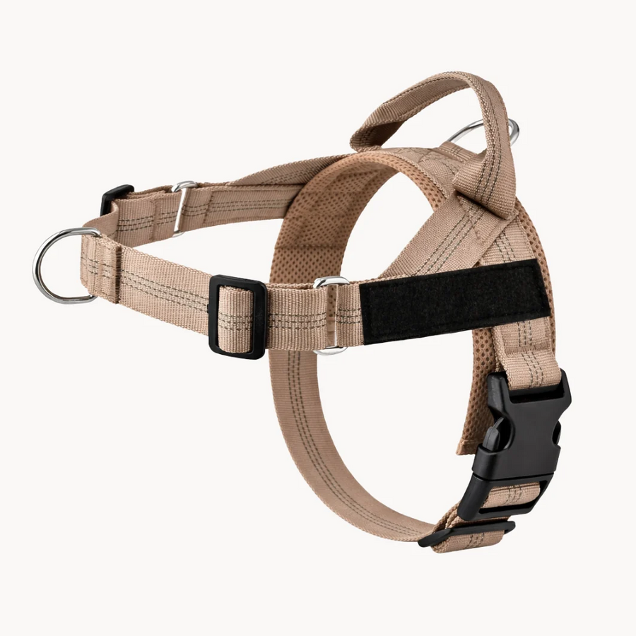 Personalised Dog Harness