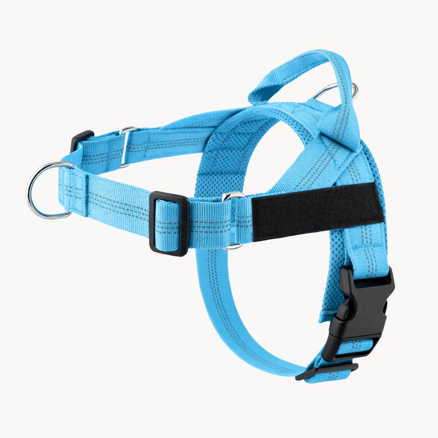 Personalised Dog Harness