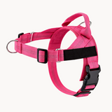 Personalised Dog Harness