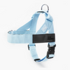 Personalised Dog Harness