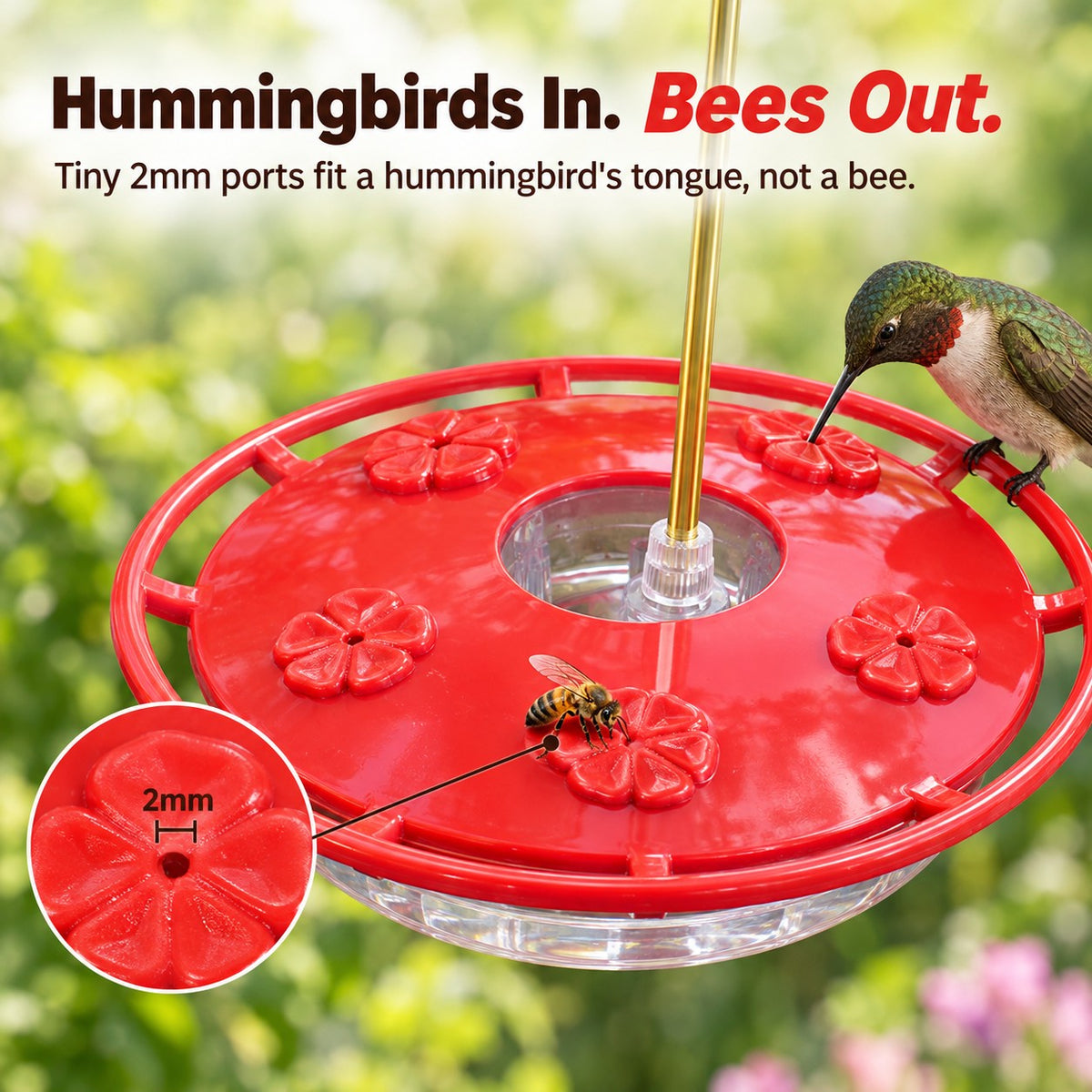Bee-proof 2mm flower feeding ports: a hummingbird drinks while a bee can't get in