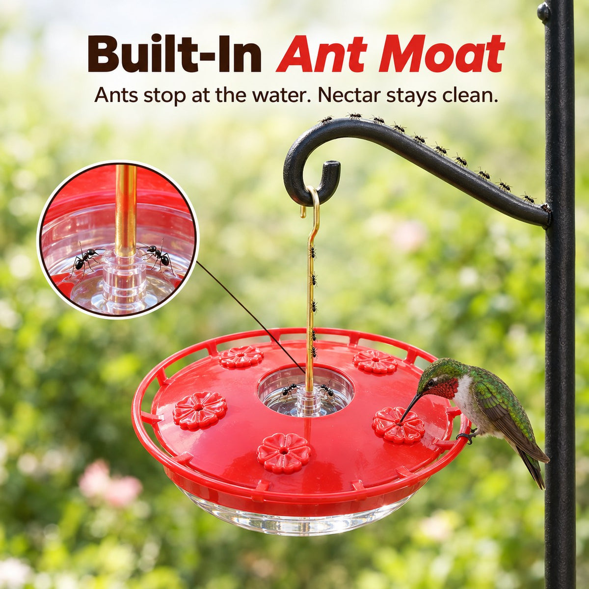 Built-in ant moat: ants stop at the water before reaching the nectar