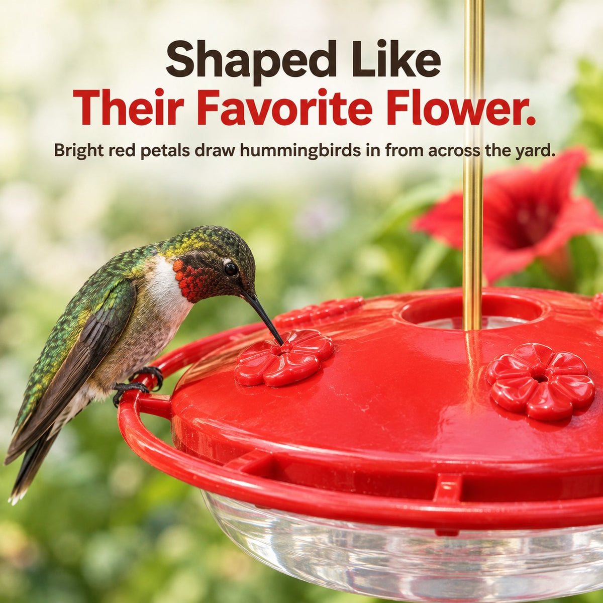 Red flower-shaped feeding ports with a hummingbird perched on the ring