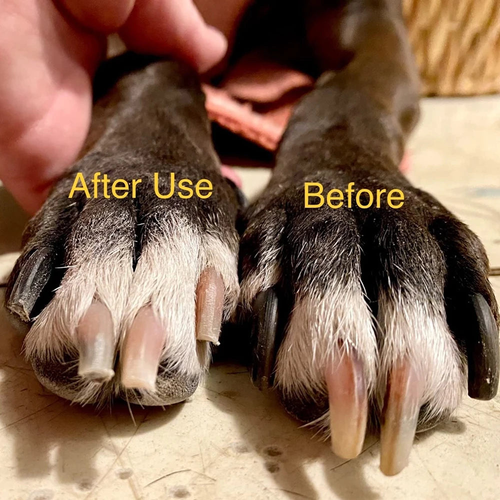 Pawmaxxing Nail Grinder