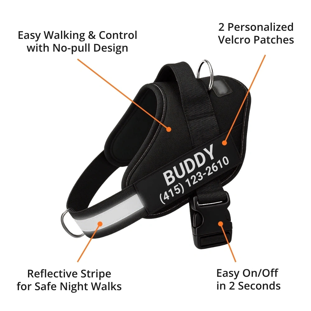 Easy Yoke No-Pull Dog Harness