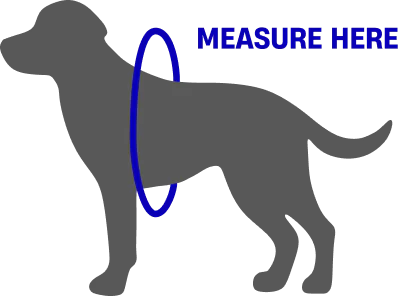 Measure your dog's chest girth