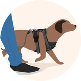 Enjoy a Stress-Free Stroll