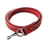 Regular Collar