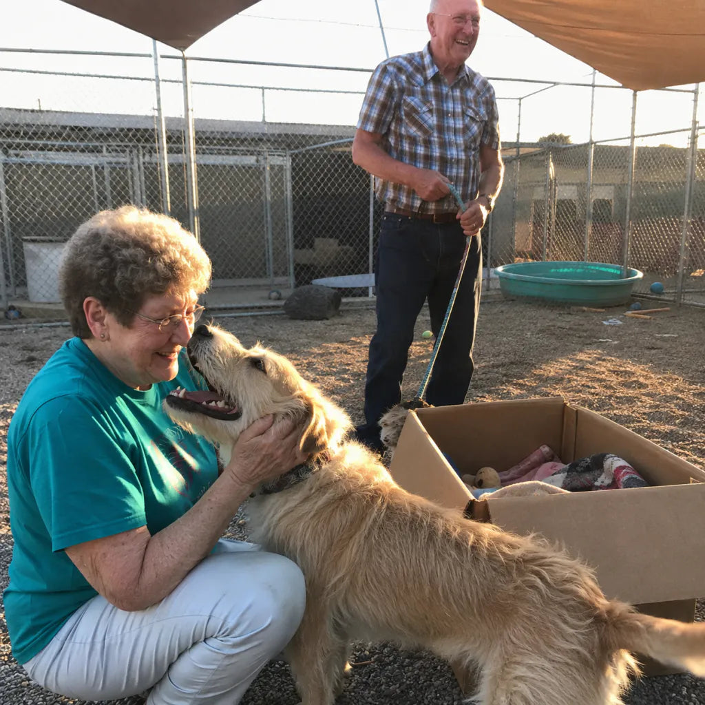 Sarah and Tom at a rescue shelter with a box of donated supplies