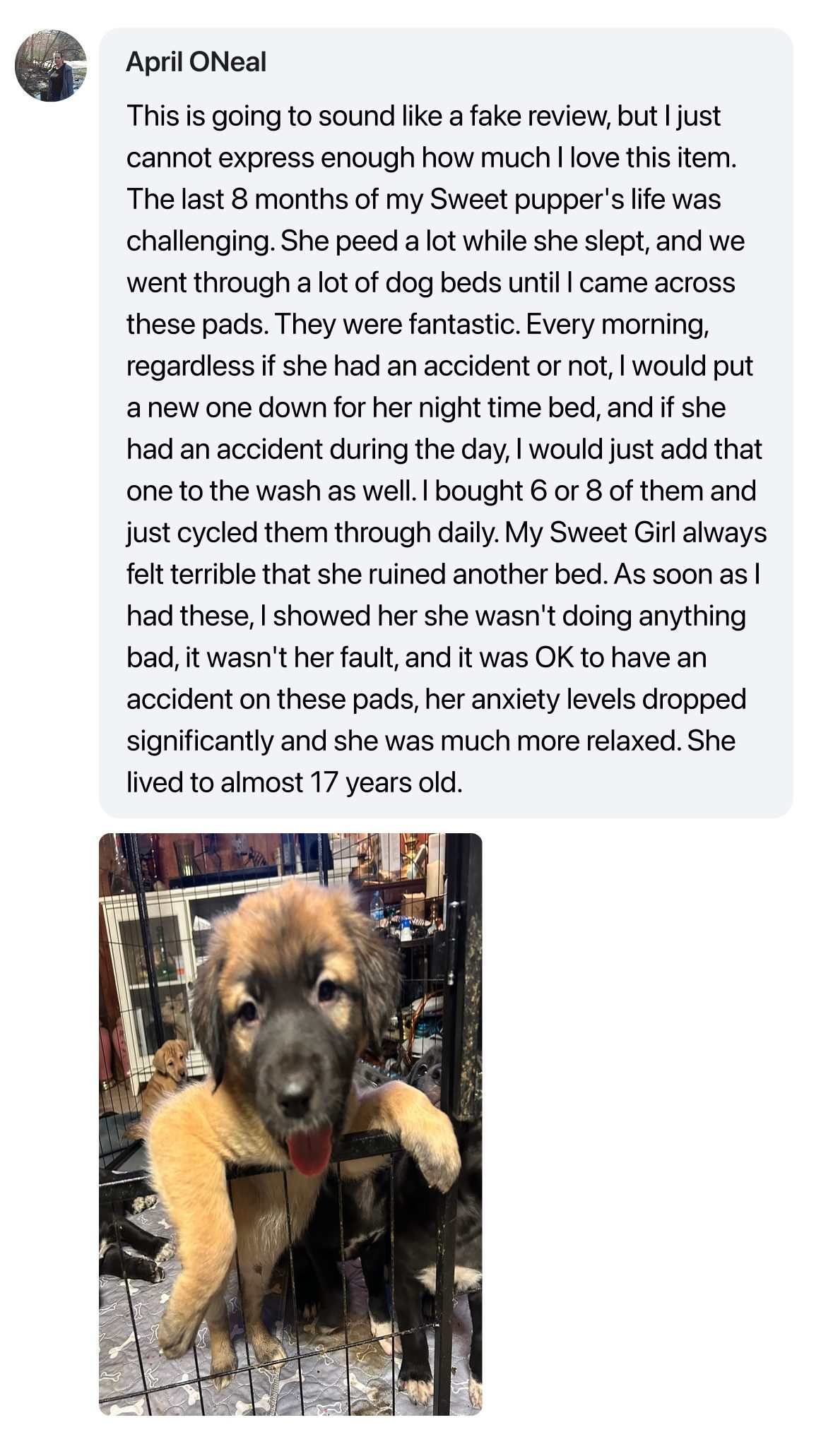 Customer review