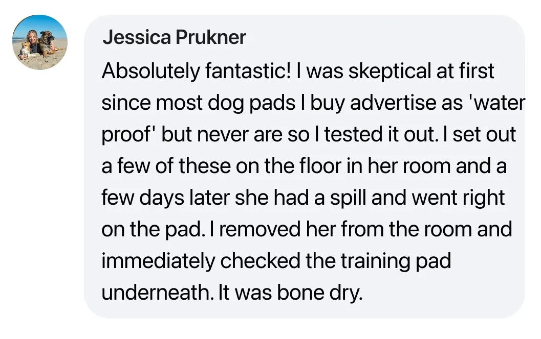 “Shocked owners watch untrained dogs use it”