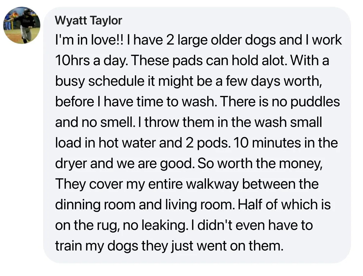 “Shocked owners watch untrained dogs use it”
